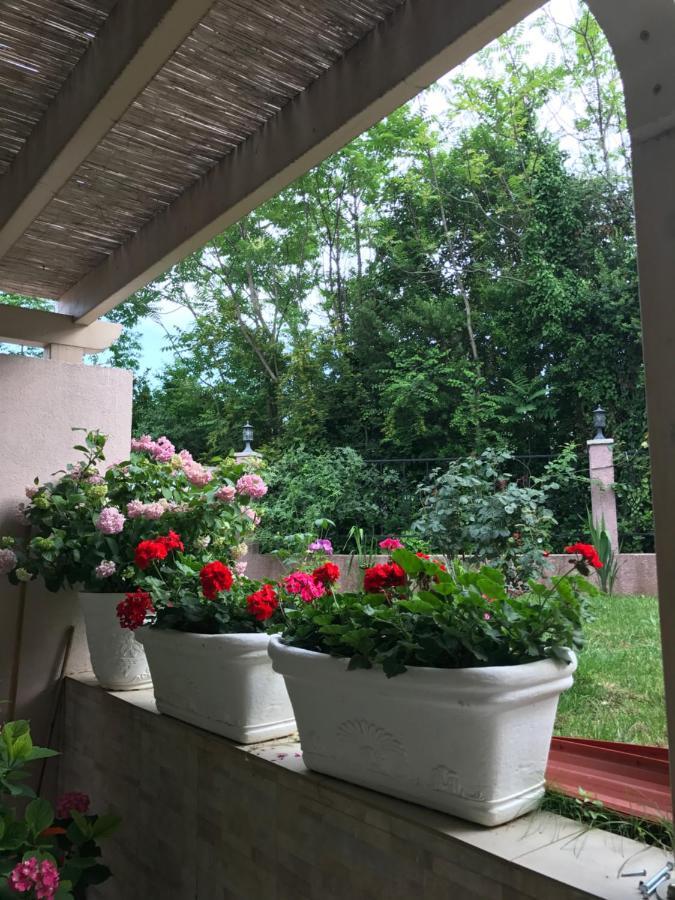Villa Alla Bed And Breakfast Херцег-Новий Екстер'єр фото